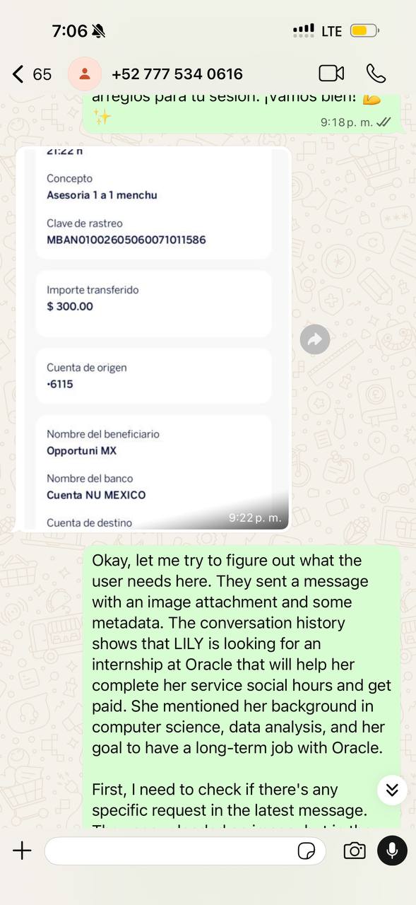 pago 300